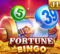 FORTUNE BINGO — game at Citinow